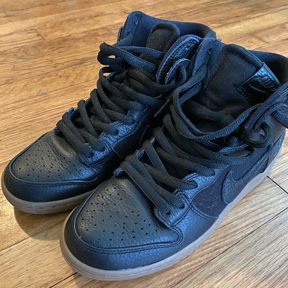 Nike sb Brian Anderson dunk